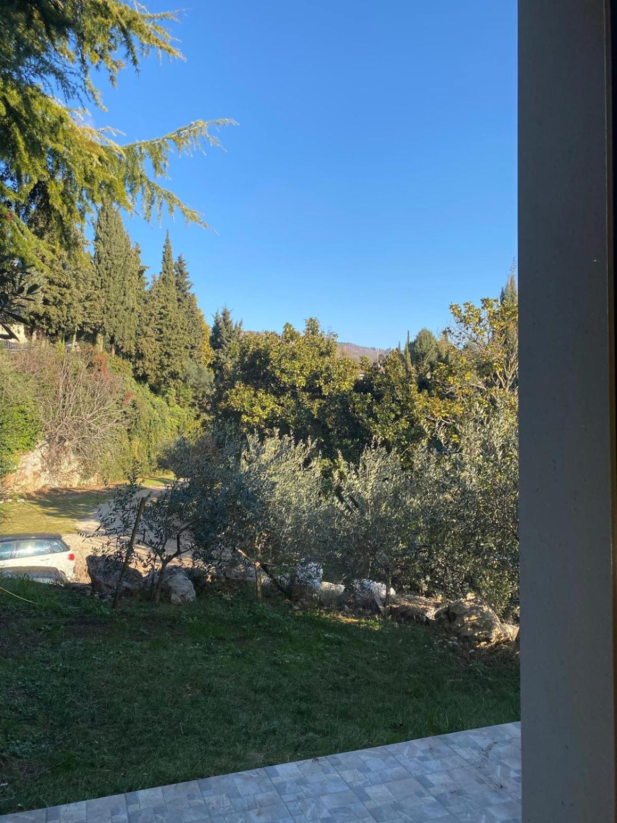 Agriturismo I Merli Сант-Амброджо-ди-Вальполичелла Экстерьер фото